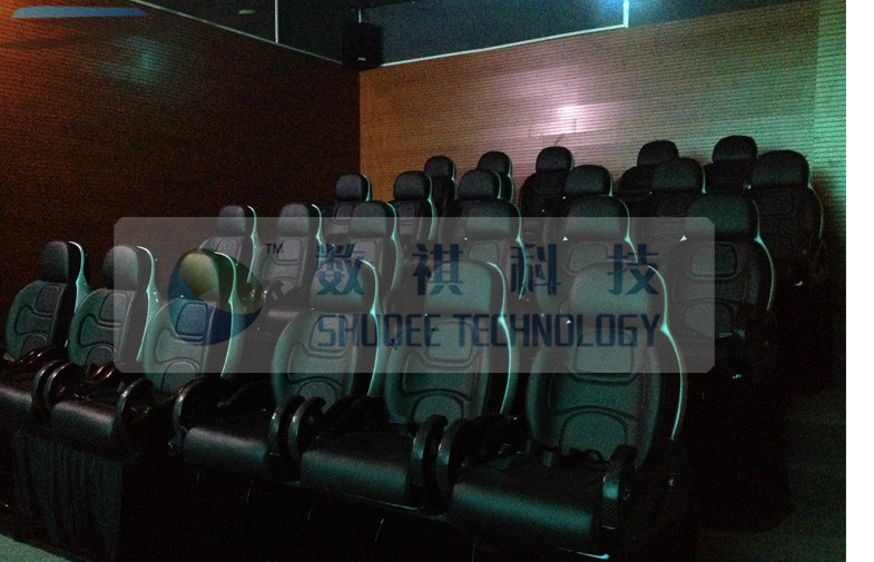 Luxurious Decoration 7D Cinema System