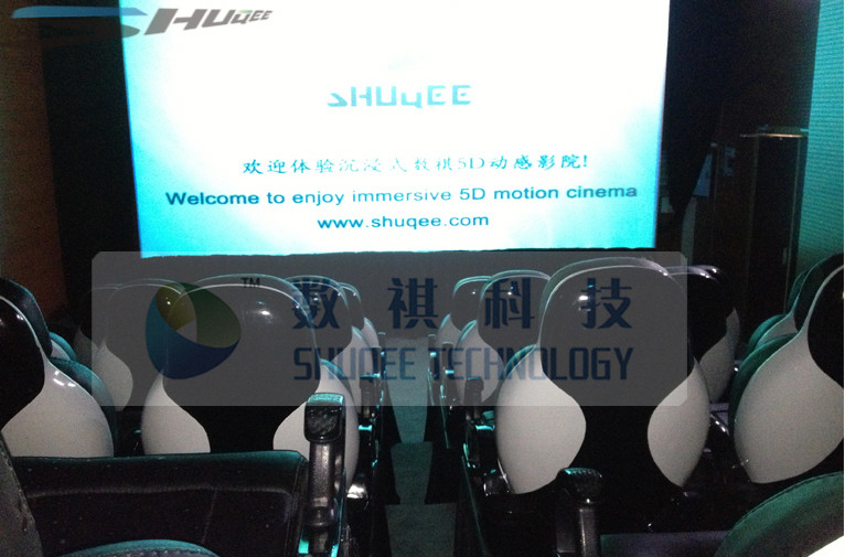 Luxurious Decoration 7D Cinema System